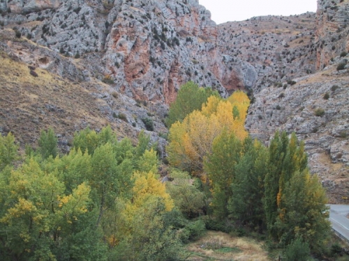Kliknite za ogled večje slike