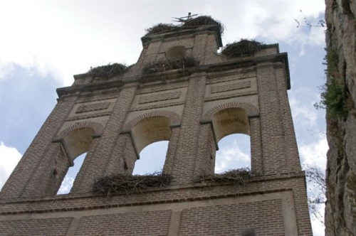 Cliqueu aquí per veure la imatge a la mida màxima