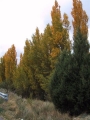 101-0180_IMG_104.JPG