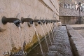 20090322-IMG_6298.jpg
