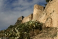 ფაილი: CASTELL-25.jpg
ფაილის ზომა: 90კბ
ზომები: 640x427
თარიღი:ნოე 20, 2010 CASTELL-25.jpg