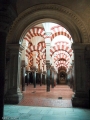 Dateiname : CORDOBA_MEZQUITA-46.jpg
Dateigröße : 37KB
Abmessungen : 360x480
hinzugefügt am : 20.November 2010 CORDOBA_MEZQUITA-46.jpg