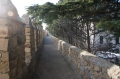 שם הקובץ=CRW_1738_183.jpg
גודל הקובץ=59ק CRW_1738_183.jpg