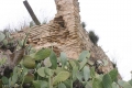 EL_PUIG-47.jpg