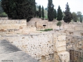 نام فايل : MEDINA_AZARA-24.jpg
حجم فايل : 129كيلوبايت
ابعاد : 640x480
تاريخ ارسال : نوامبر 20, 2010 MEDINA_AZARA-24.jpg
