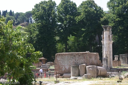 Kliknite za ogled večje slike