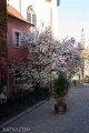ფაილი: 14042009-IMG_6823.jpg
ფაილის ზომა: 54კბ
ზომები: 320x480
თარიღი:ნოე 21, 2010 14042009-IMG_6823.jpg
