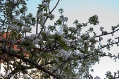 14042009-IMG_6846.jpg