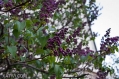 14042009-IMG_6848.jpg