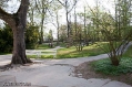 16042009-IMG_7330.jpg