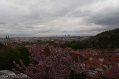 18042009-IMG_7938.jpg