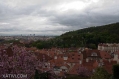 18042009-IMG_7939.jpg
