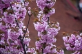 18042009-IMG_7942.jpg