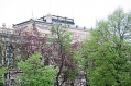 Име на Фајлот=18042009-IMG_8209.jpg
Големина на фајлот=115KB
Димензии=500x333
Додадено на дата=ноември 21 2010 18042009-IMG_8209.jpg