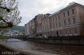19042009-IMG_8338.jpg