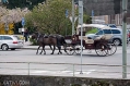 19042009-IMG_8358.jpg