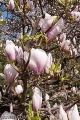 19042009-IMG_8446.jpg