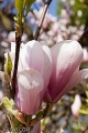 19042009-IMG_8448.jpg