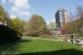 19042009-IMG_8452.jpg
