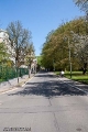 19042009-IMG_8503.jpg