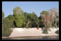 نام فايل : ASUAN-10.jpeg
حجم فايل : 182كيلوبايت
ابعاد : 480x320
تاريخ ارسال : نوامبر 21, 2010 ASUAN-10.jpeg