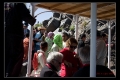 שם הקובץ=ASUAN-85.jpeg
גודל הקובץ=154ק ASUAN-85.jpeg