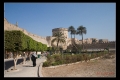 CAIRO-68.jpeg