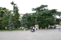 CRW_1232_101.JPG