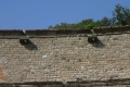 CRW_9562_23.JPG