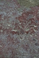 CRW_9563_24.JPG