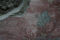 CRW_9564_25.JPG
