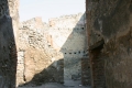 CRW_9574_35.JPG