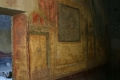 CRW_9589_50.JPG