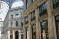 CRW_9688_8.JPG