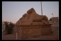 KARNAK-006.jpeg