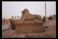 KARNAK-012.jpeg