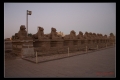 KARNAK-014.jpeg
