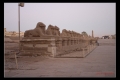 KARNAK-018.jpeg