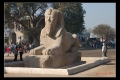 نام فايل : MENFIS-010.jpeg
حجم فايل : 167كيلوبايت
ابعاد : 480x320
تاريخ ارسال : نوامبر 21, 2010 MENFIS-010.jpeg