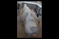 نام فايل : MENFIS-018.jpeg
حجم فايل : 71كيلوبايت
ابعاد : 480x320
تاريخ ارسال : نوامبر 21, 2010 MENFIS-018.jpeg