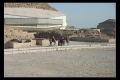 نام فايل : PIRAMIDES-008.jpeg
حجم فايل : 149كيلوبايت
ابعاد : 480x320
تاريخ ارسال : نوامبر 21, 2010 PIRAMIDES-008.jpeg