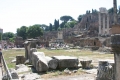 Файл=ROMA_IMPERIAL-55.jpg
Объём=96КБ
Размеры=640x427
Дата=Нояб 21, 2010 ROMA_IMPERIAL-55.jpg