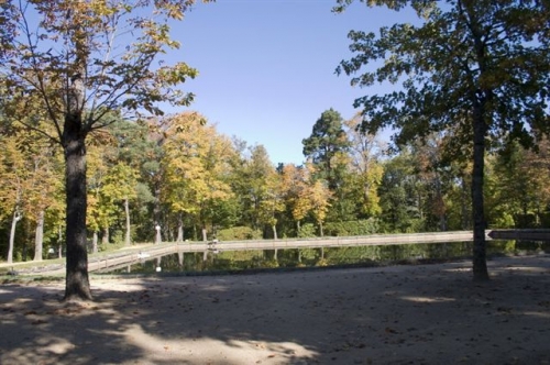 Kliknite za ogled večje slike