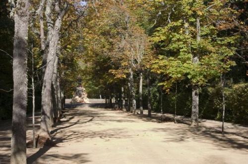 Clic pentru a vizualiza imaginea în dimensiunile reale