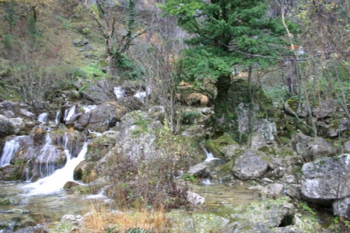 Klikni za sliku u punoj veličini