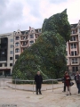 Filnamn: BILBAO-2.jpg
Filstorlek: 44KB
Dimensioner: 360x480
Tillagd den: 28 nov 2010 BILBAO-2.jpg