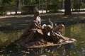 نام فايل : CRW_2290_18.jpg
حجم فايل : 63كيلوبايت
ابعاد : 640x426
تاريخ ارسال : نوامبر 28, 2010 CRW_2290_18.jpg