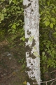 CRW_2320_48.jpg