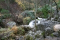 Filnamn: CRW_5772_18.JPG
Filstorlek: 121KB
Dimensioner: 600x400
Tillagd den: 28 nov 2010 CRW_5772_18.JPG