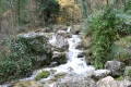 CRW_5774_20.JPG